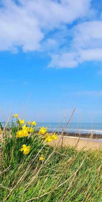 Herne Bay Central - 2 Minutes From Beach Apartment Buitenkant foto
