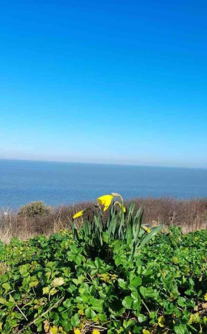 Herne Bay Central - 2 Minutes From Beach Apartment Buitenkant foto
