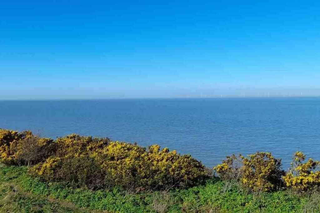 Herne Bay Central - 2 Minutes From Beach Apartment Buitenkant foto